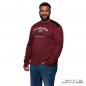 Preview: MENS ESTABLISHED PERFORMANCE LONG SLEEVE T-SHIRT - PORT