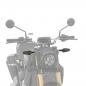 Preview: CLEAR TURN SIGNALS - FTR 1200