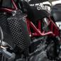 Preview: CARBON FIBER RADIATOR GUARDS