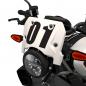 Preview: FRONT NUMBER PLATE - FTR 1200