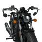 Preview: BAR END MIRRORS - SCOUT 1250 - BLACK