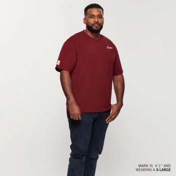 MENS SPIRIT LAKE TEE - PORT