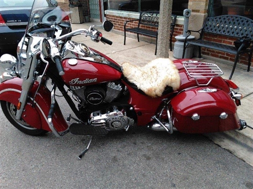 indian chief luggage rack