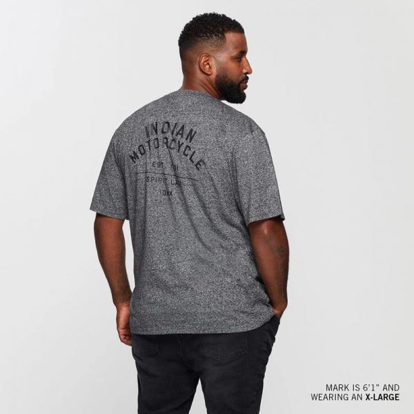 MENS 1901 SPIRIT LAKE TEE - GRAY