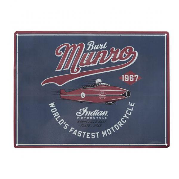 STREAMLINER METAL SIGN - BLUE